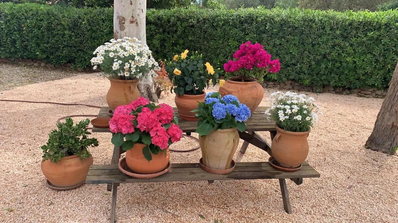 Villa Kentia Mallorca, Charming And Stylish Country House Close To Palma Spagna